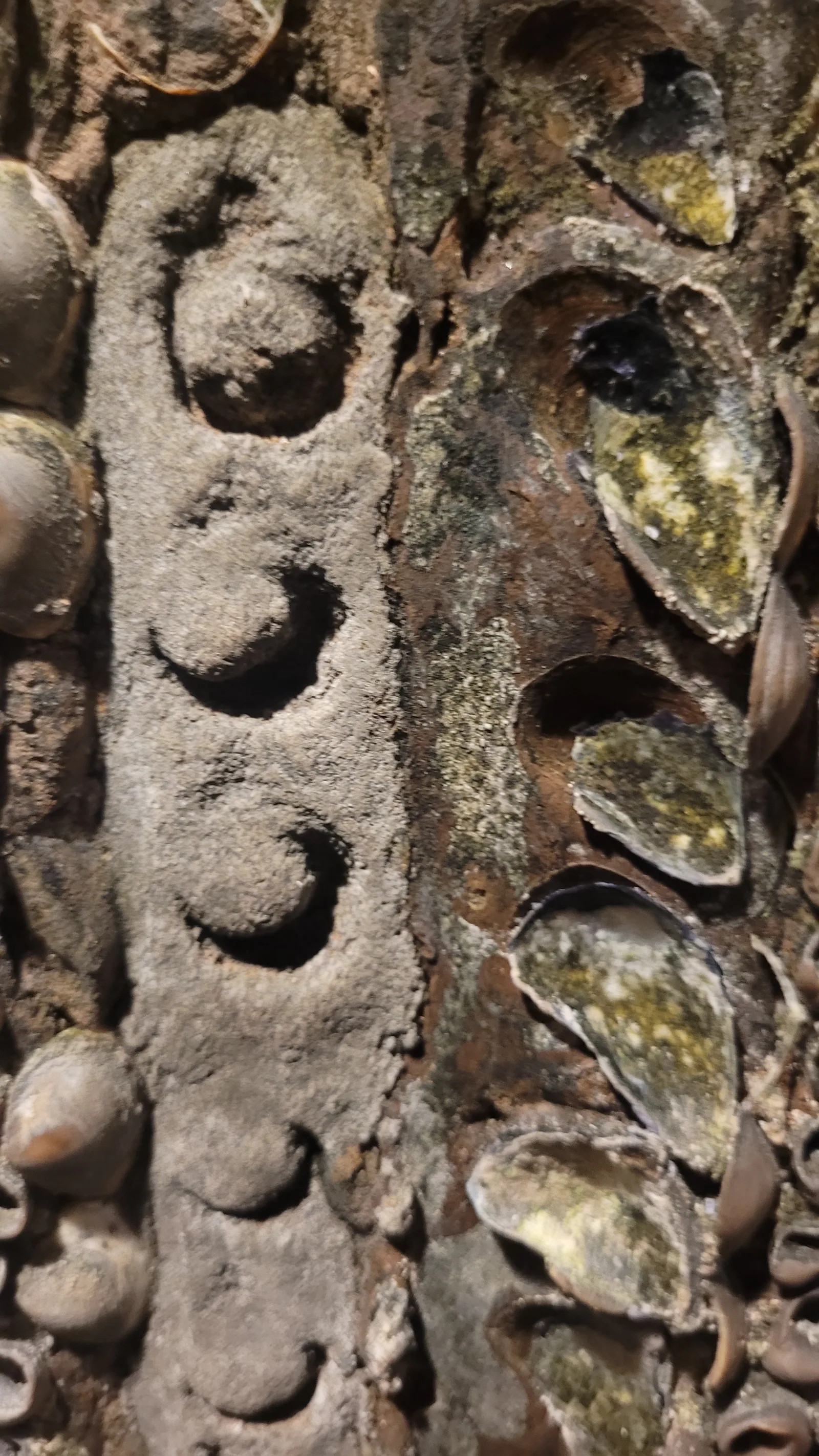 Stone127 texture