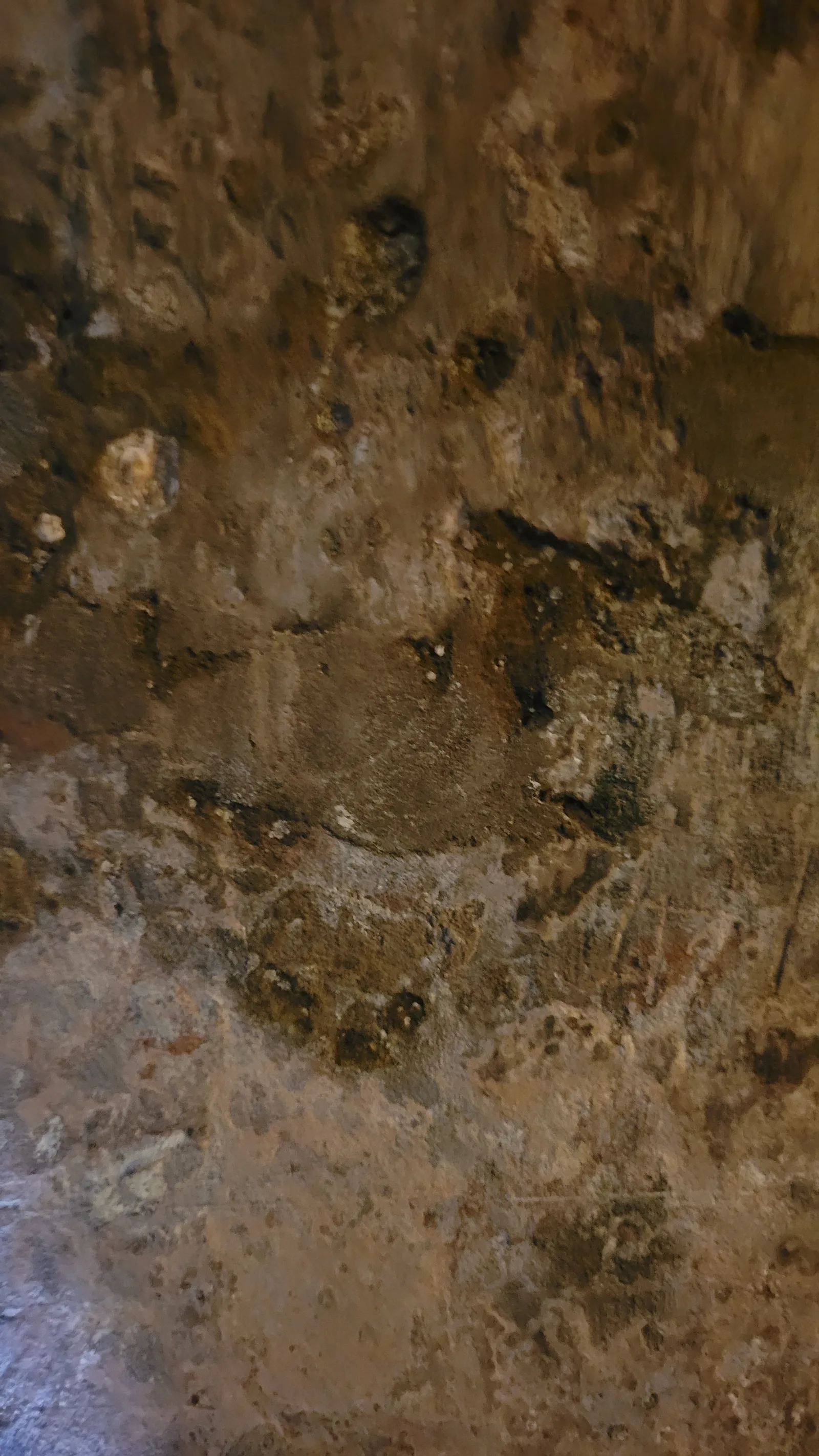 Stone130 texture