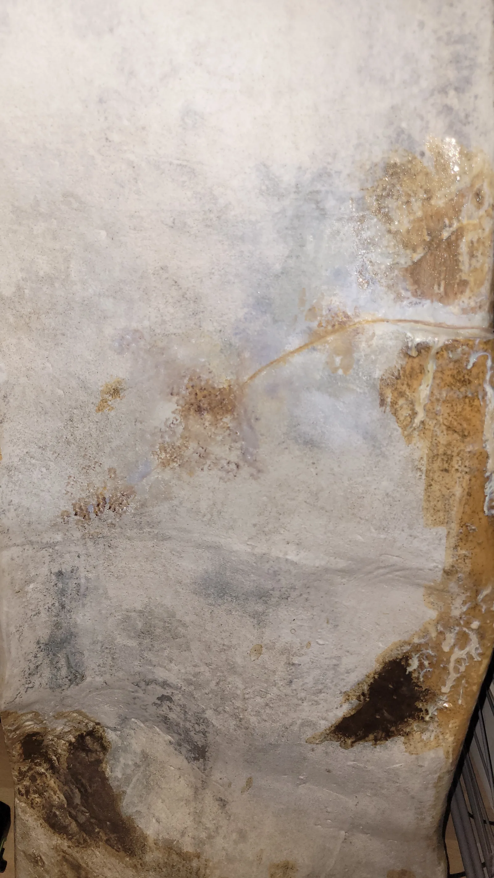 Stone142 texture