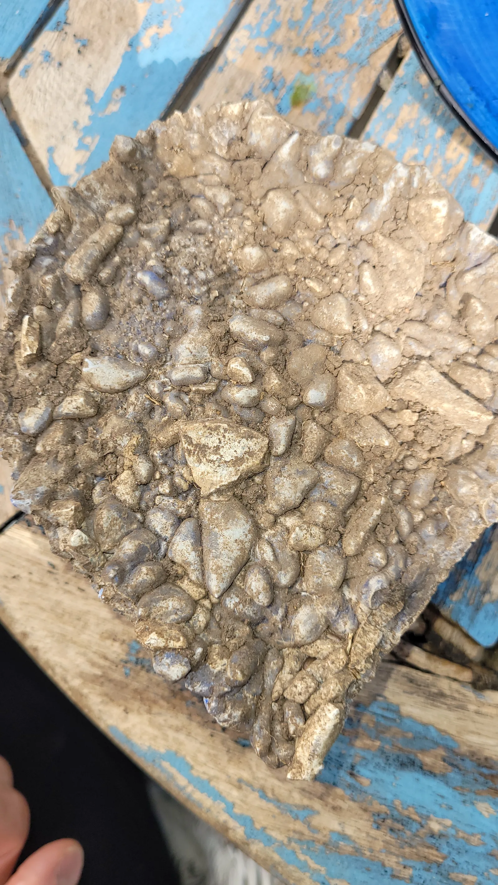 Stone147 texture
