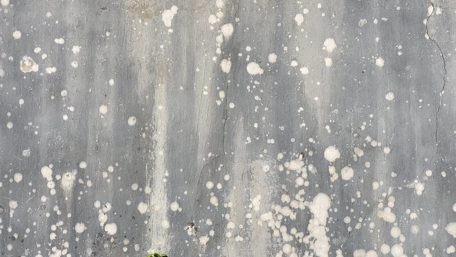 Stone163 texture