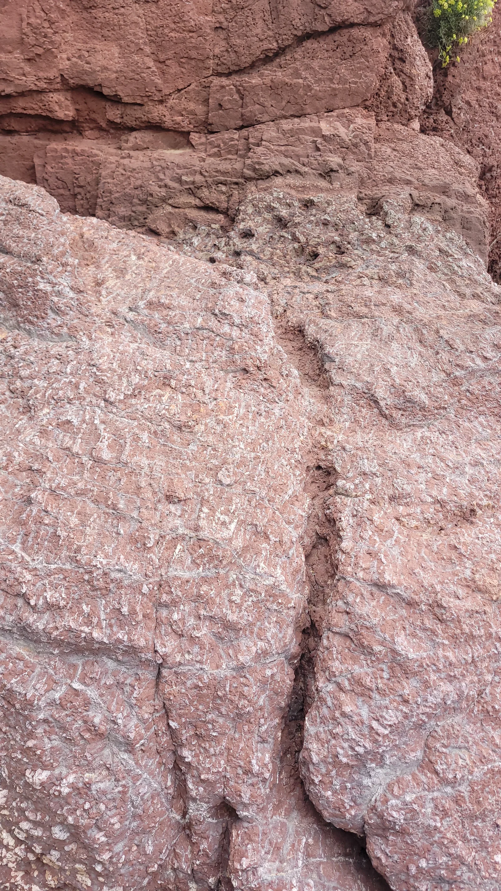 Stone178 texture