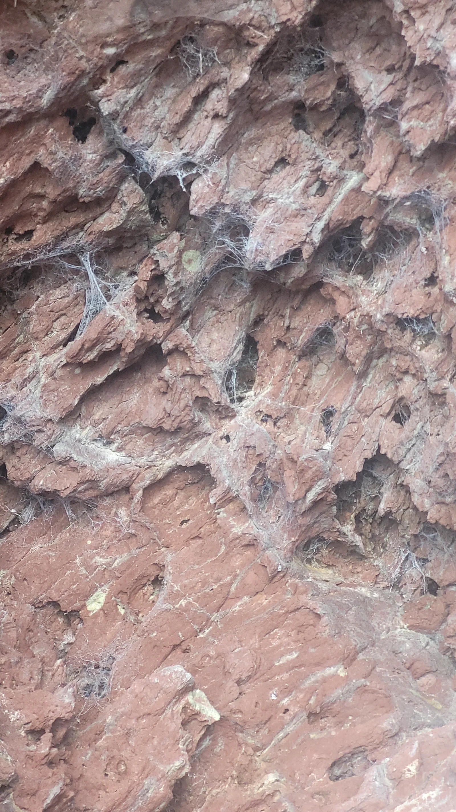 Stone180 texture
