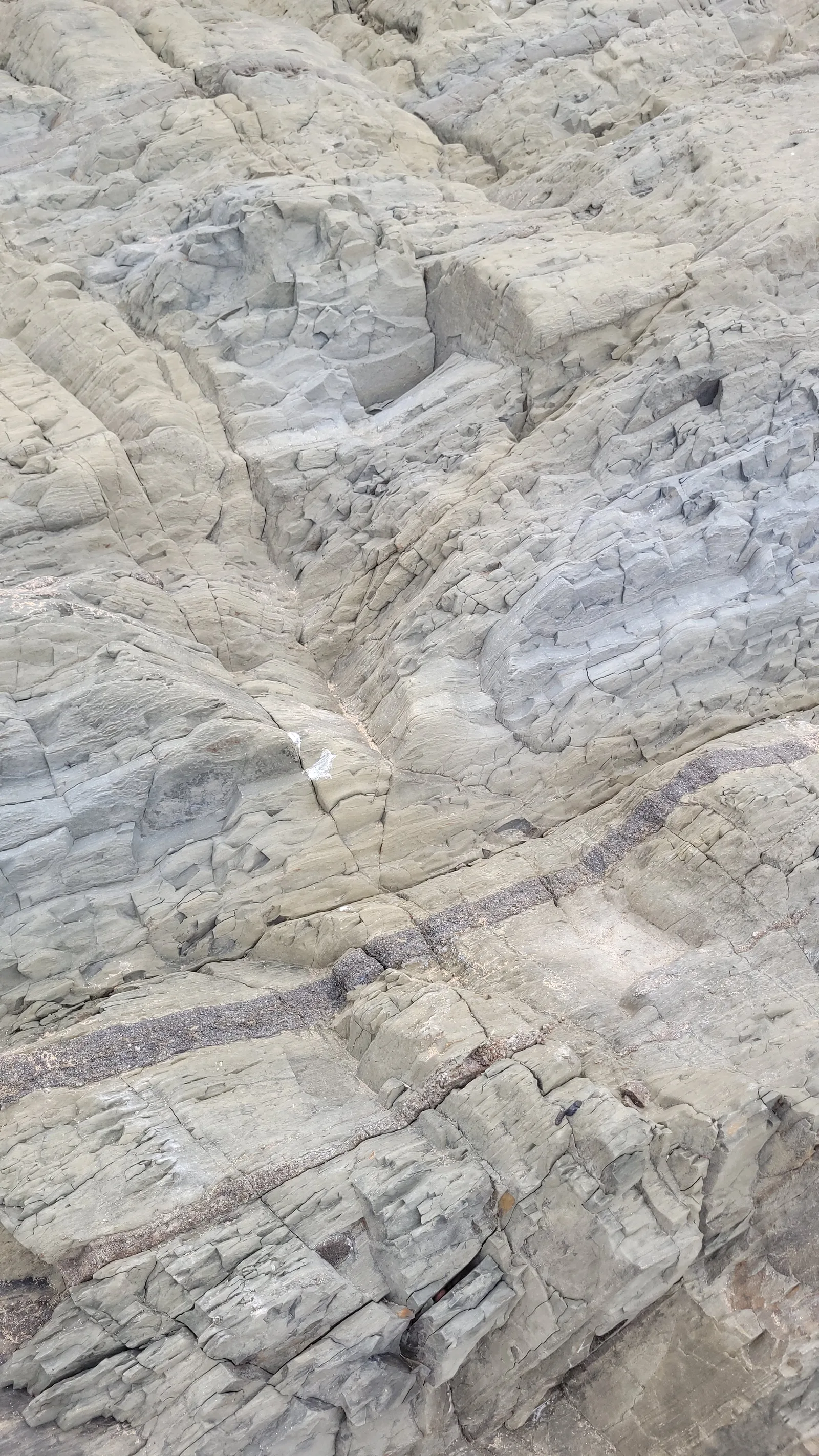 Stone189 texture