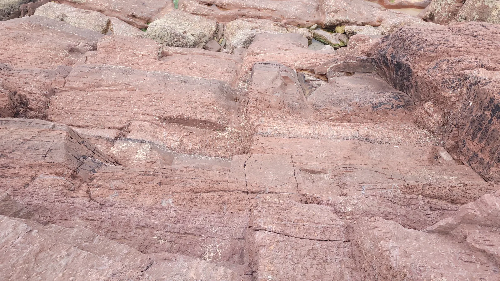 Stone195 texture