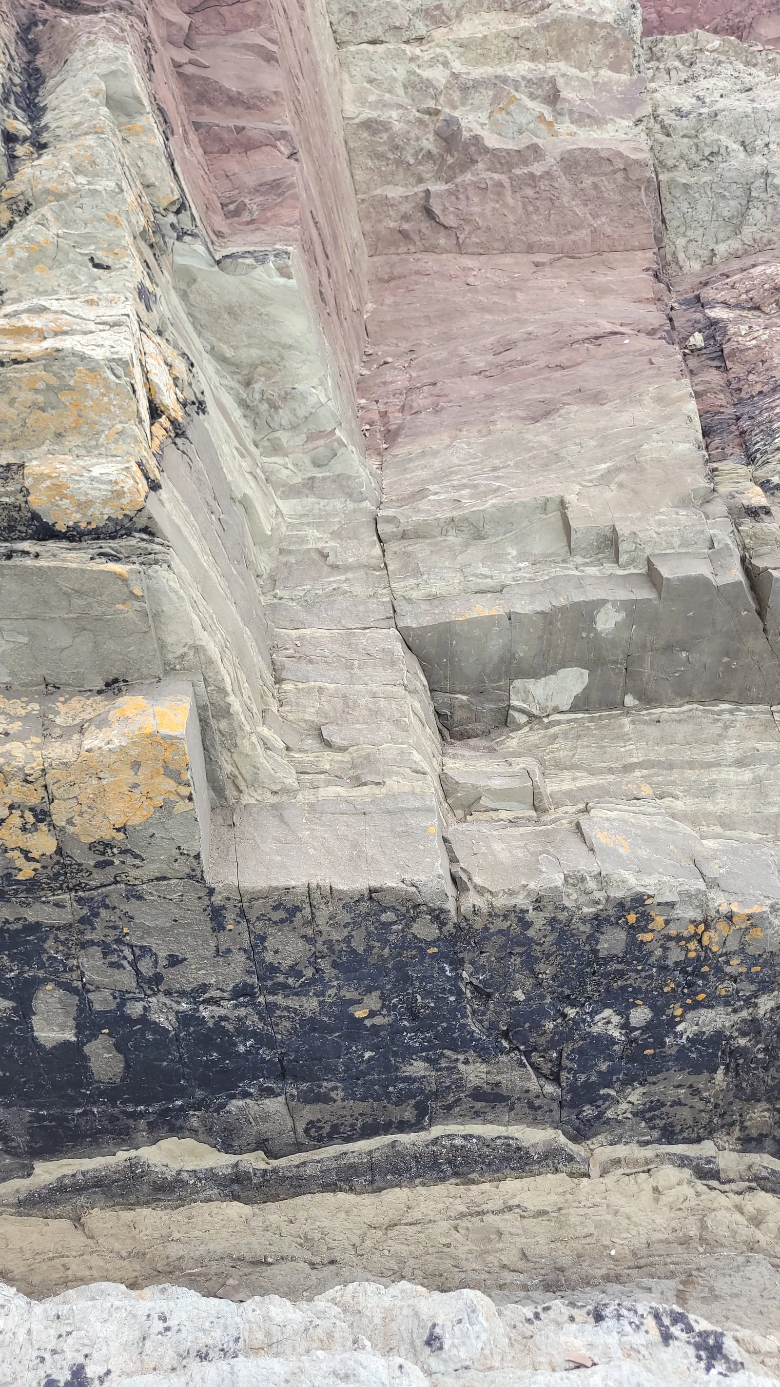 Stone197 texture