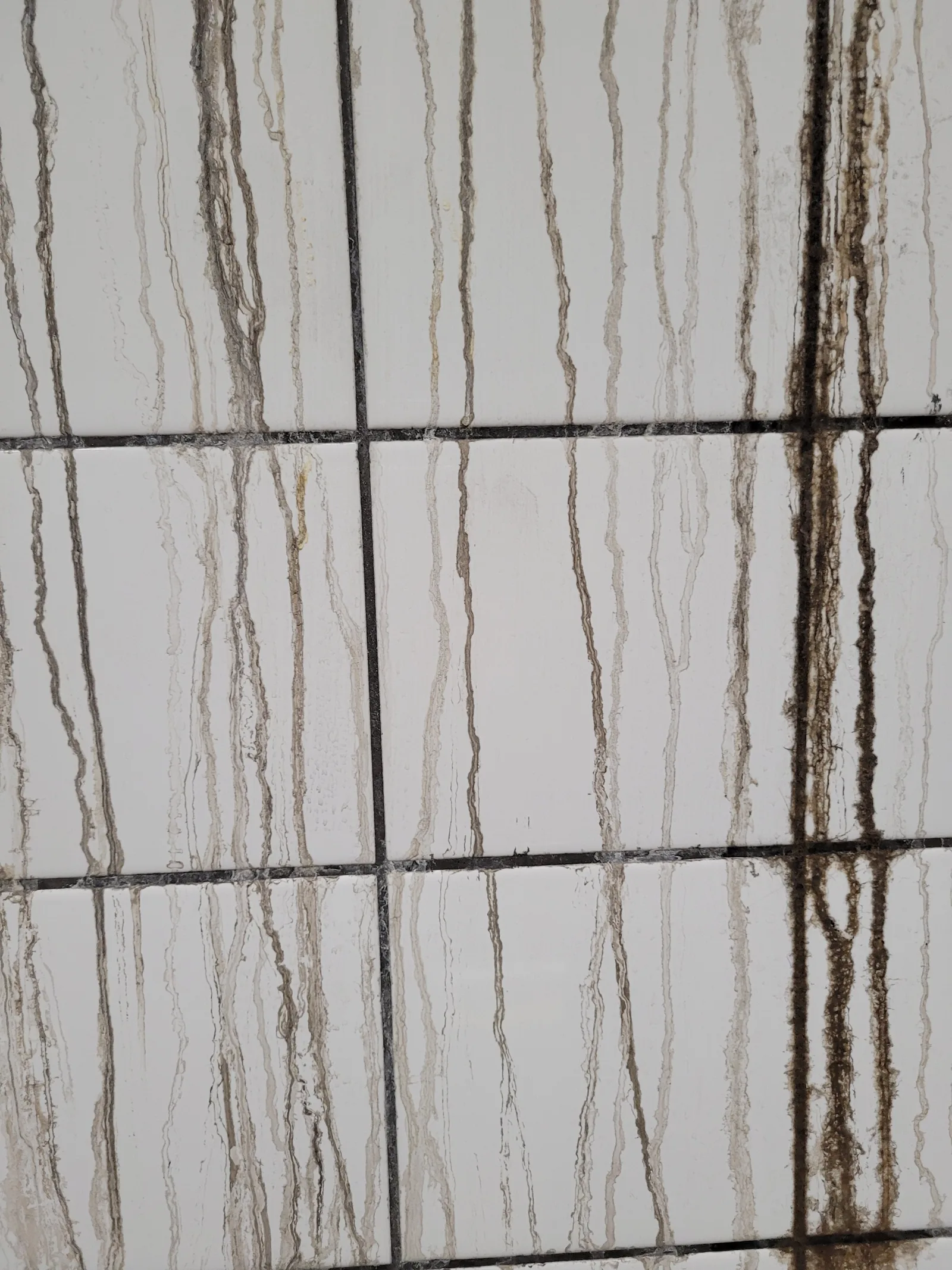 Tile2 texture