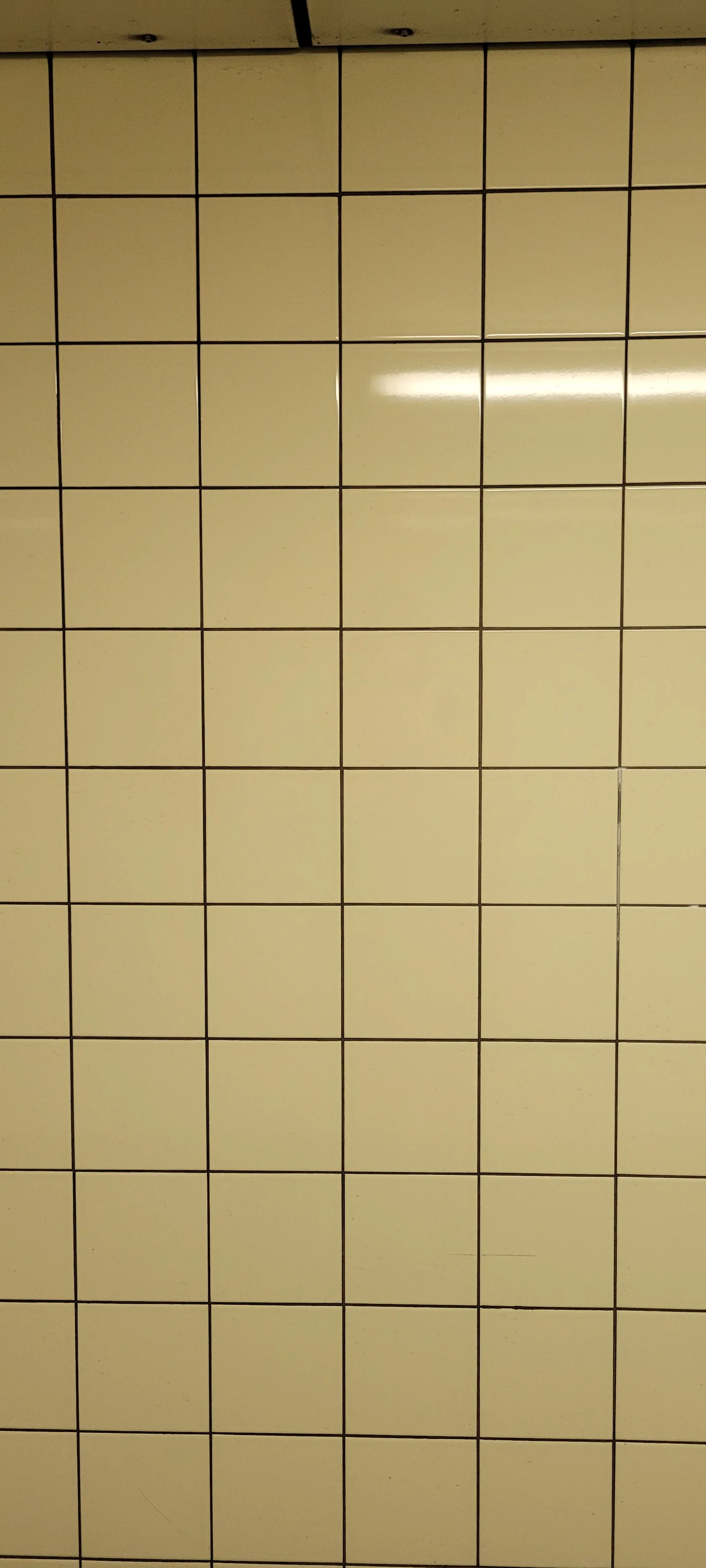 Tile4 texture