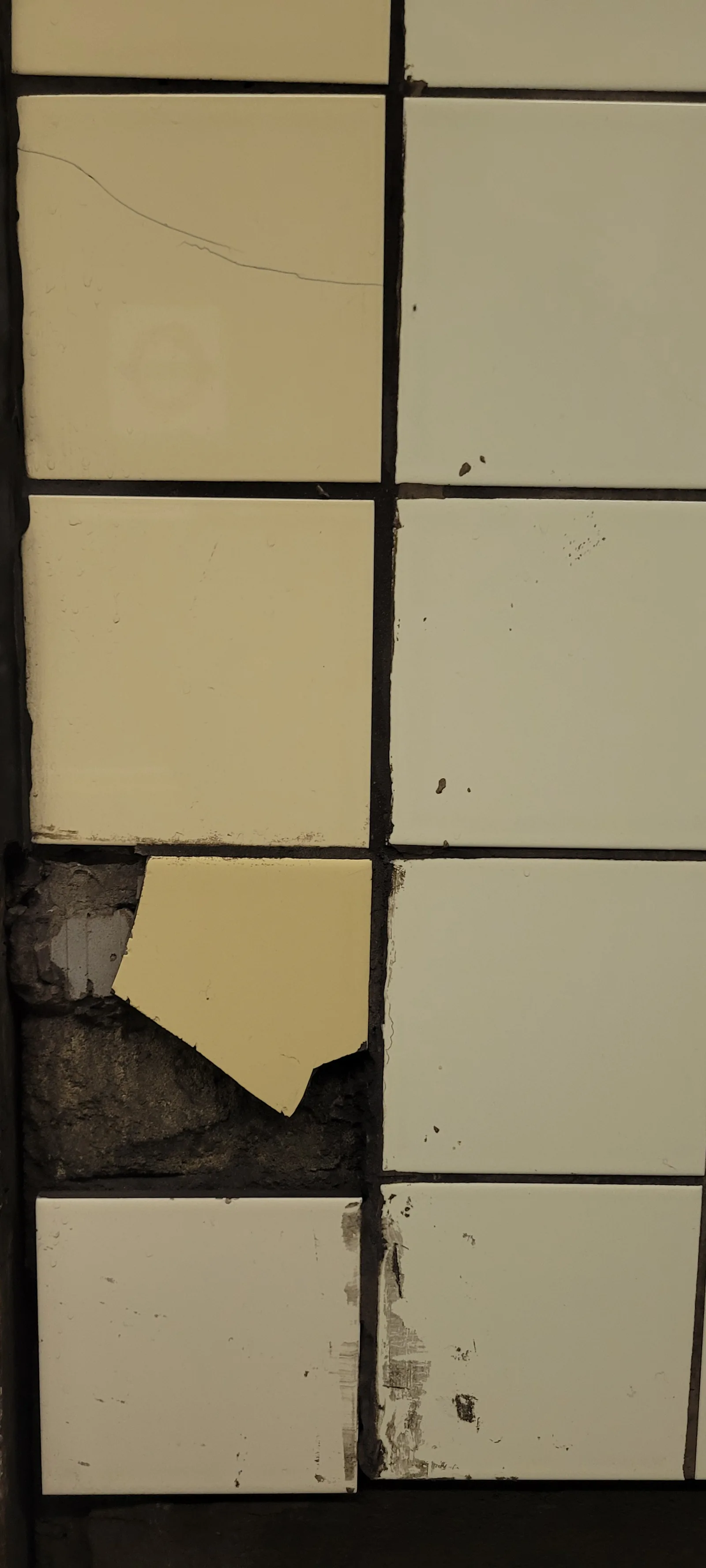 Tile5 texture