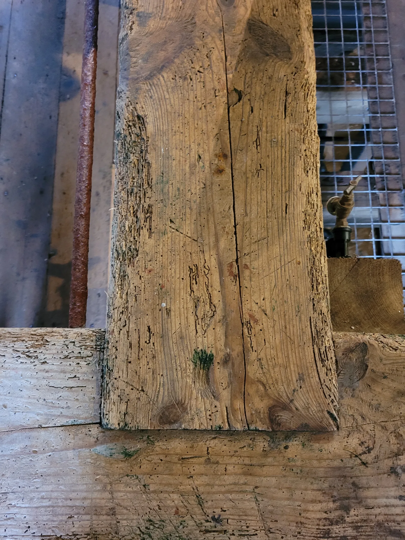 Wood14 texture