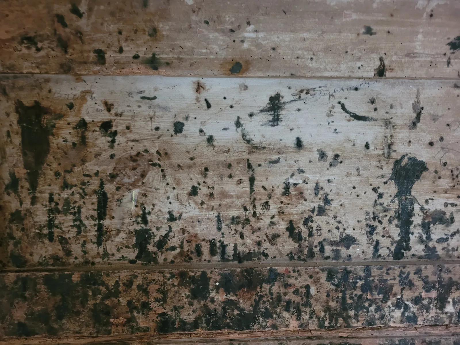 Wood15 texture