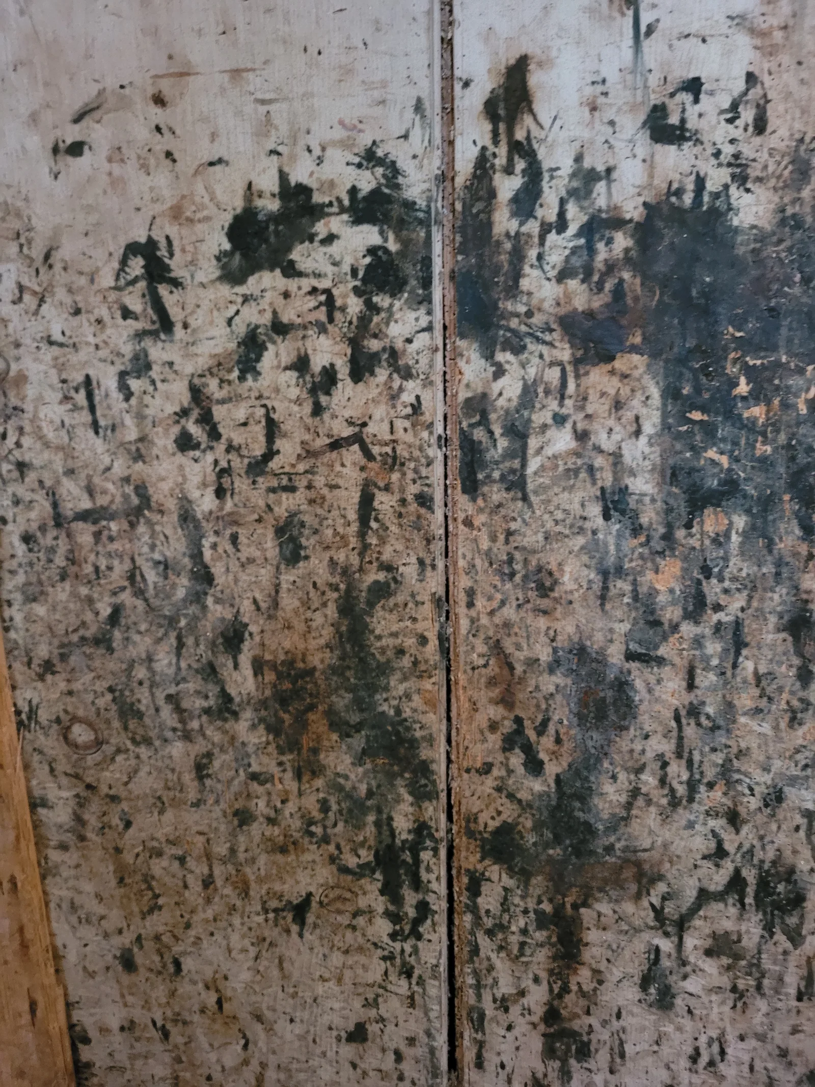 Wood16 texture