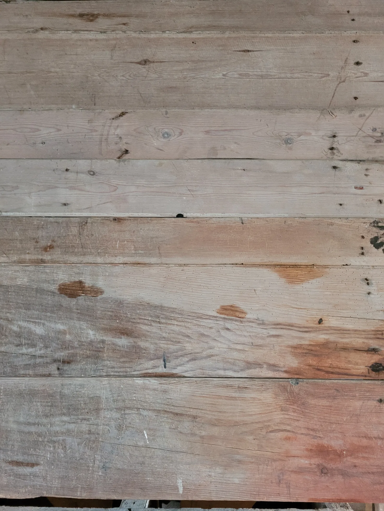Wood17 texture