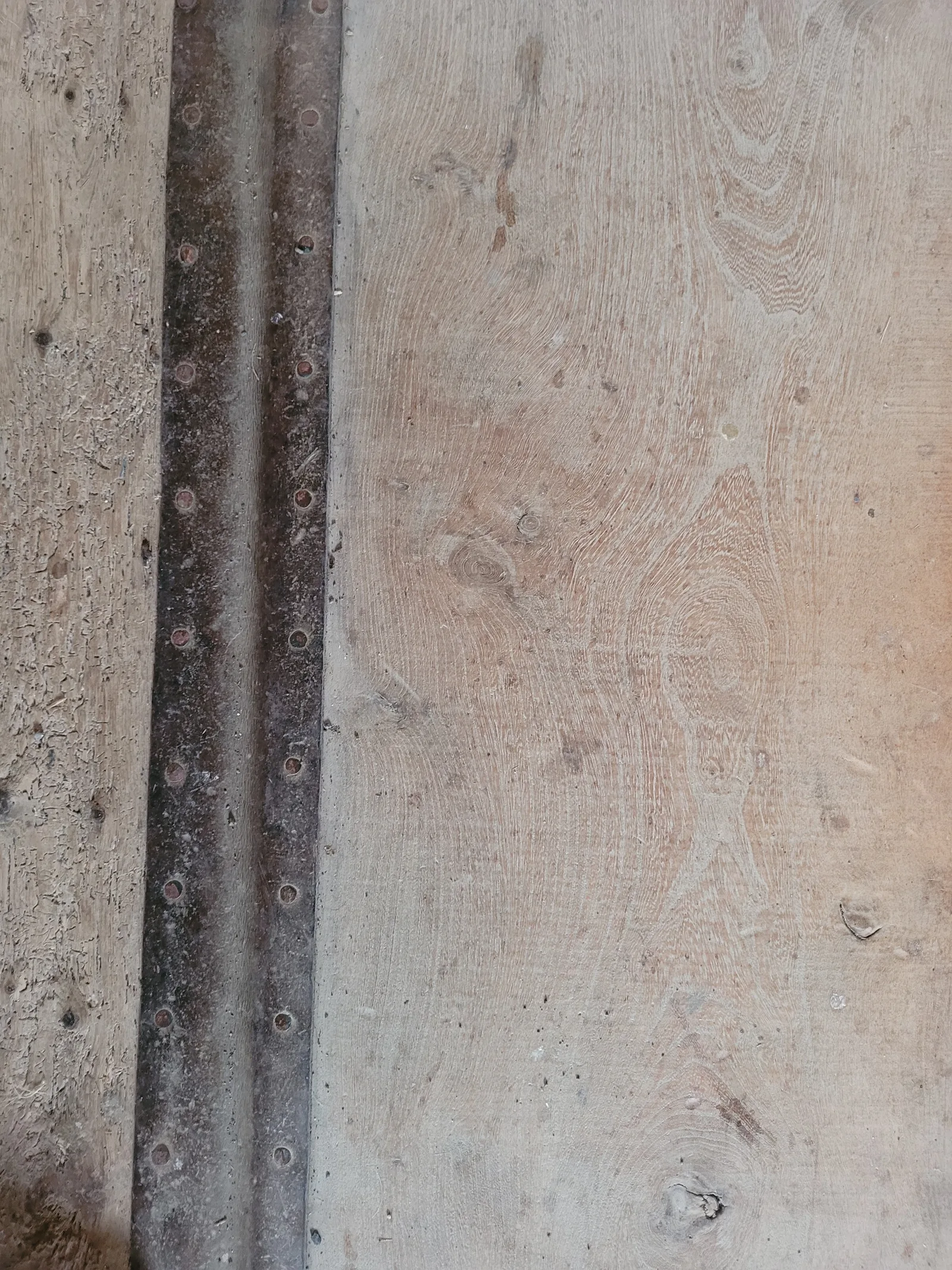 Wood18 texture