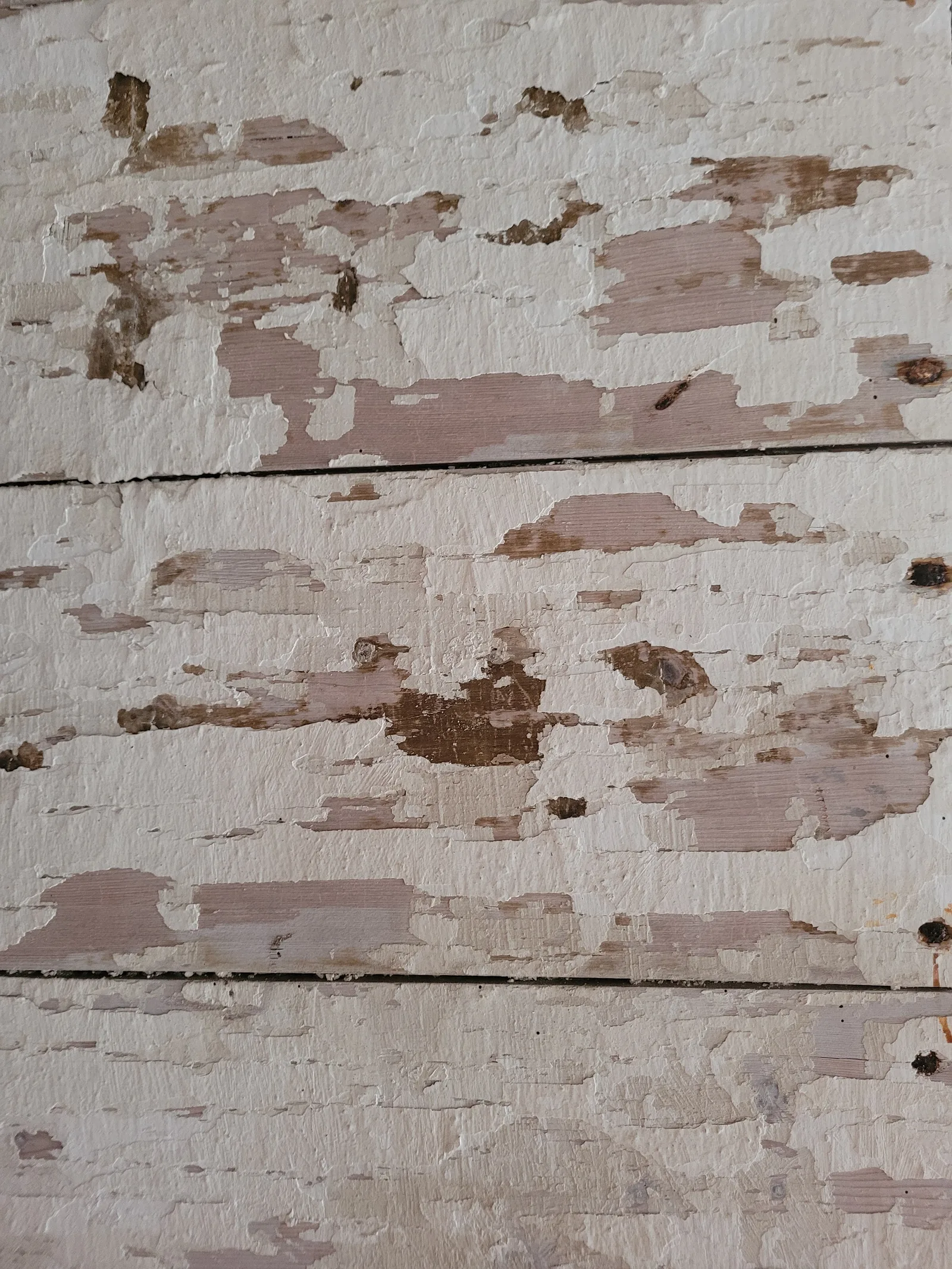 Wood20 texture