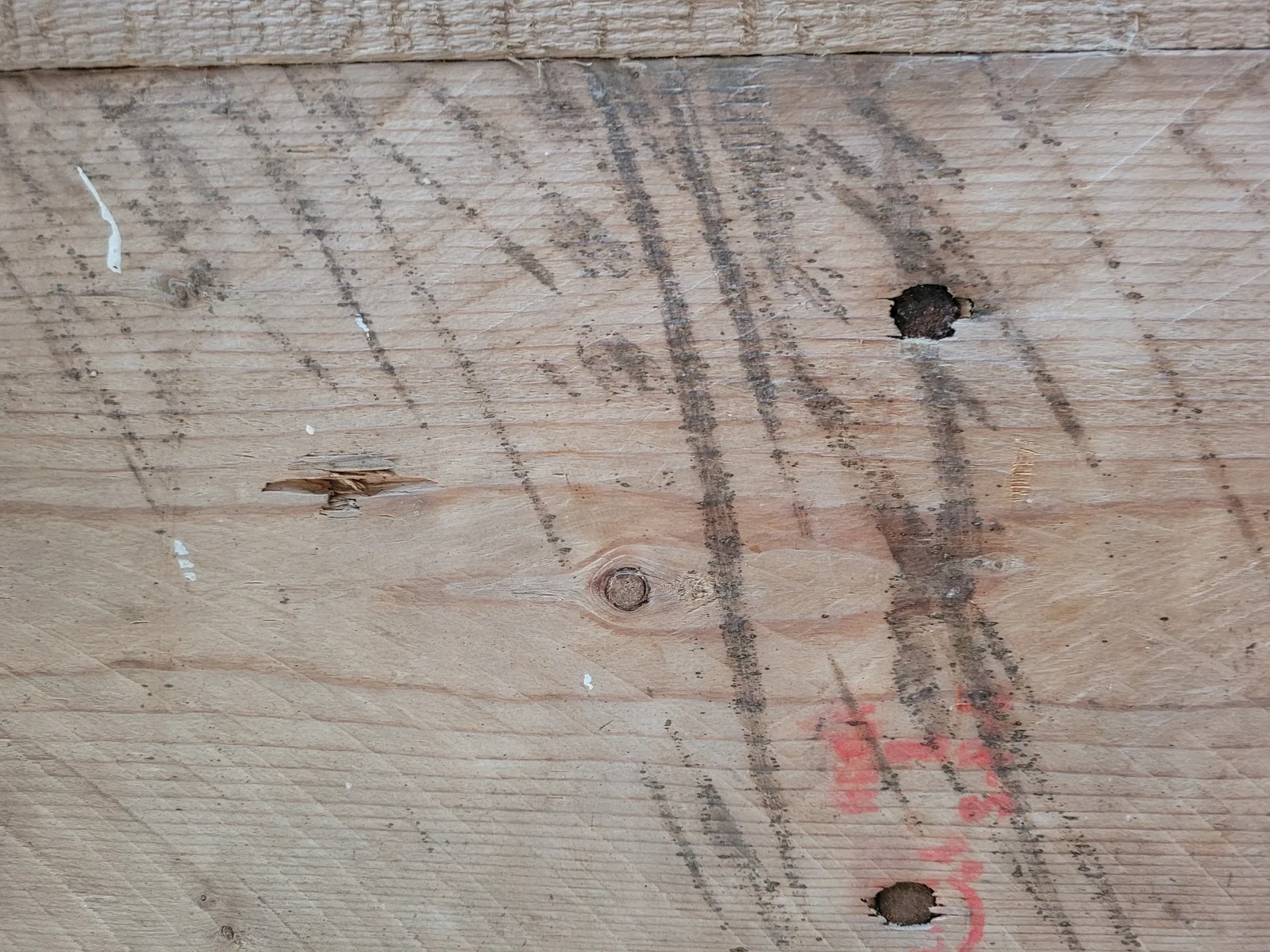 Wood25 texture