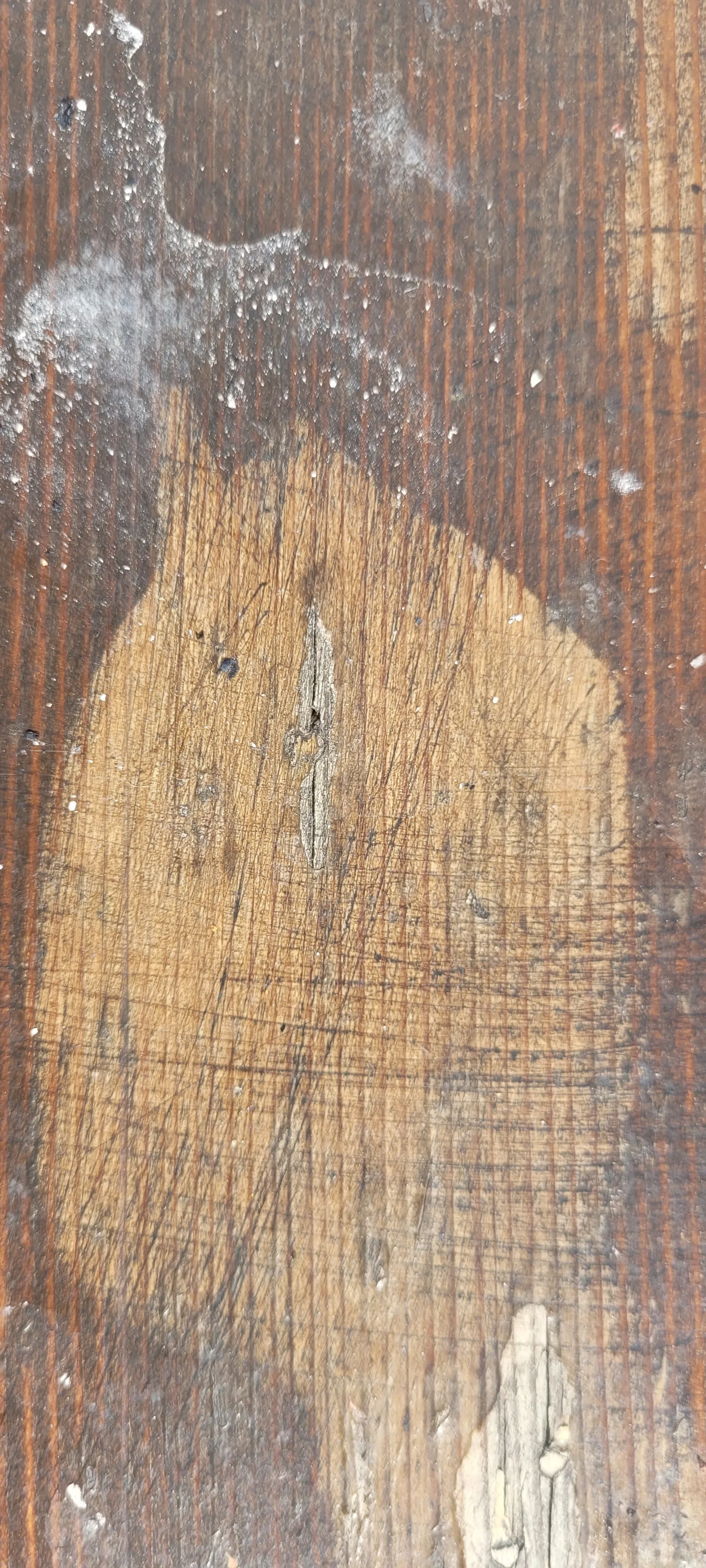 Wood44 texture