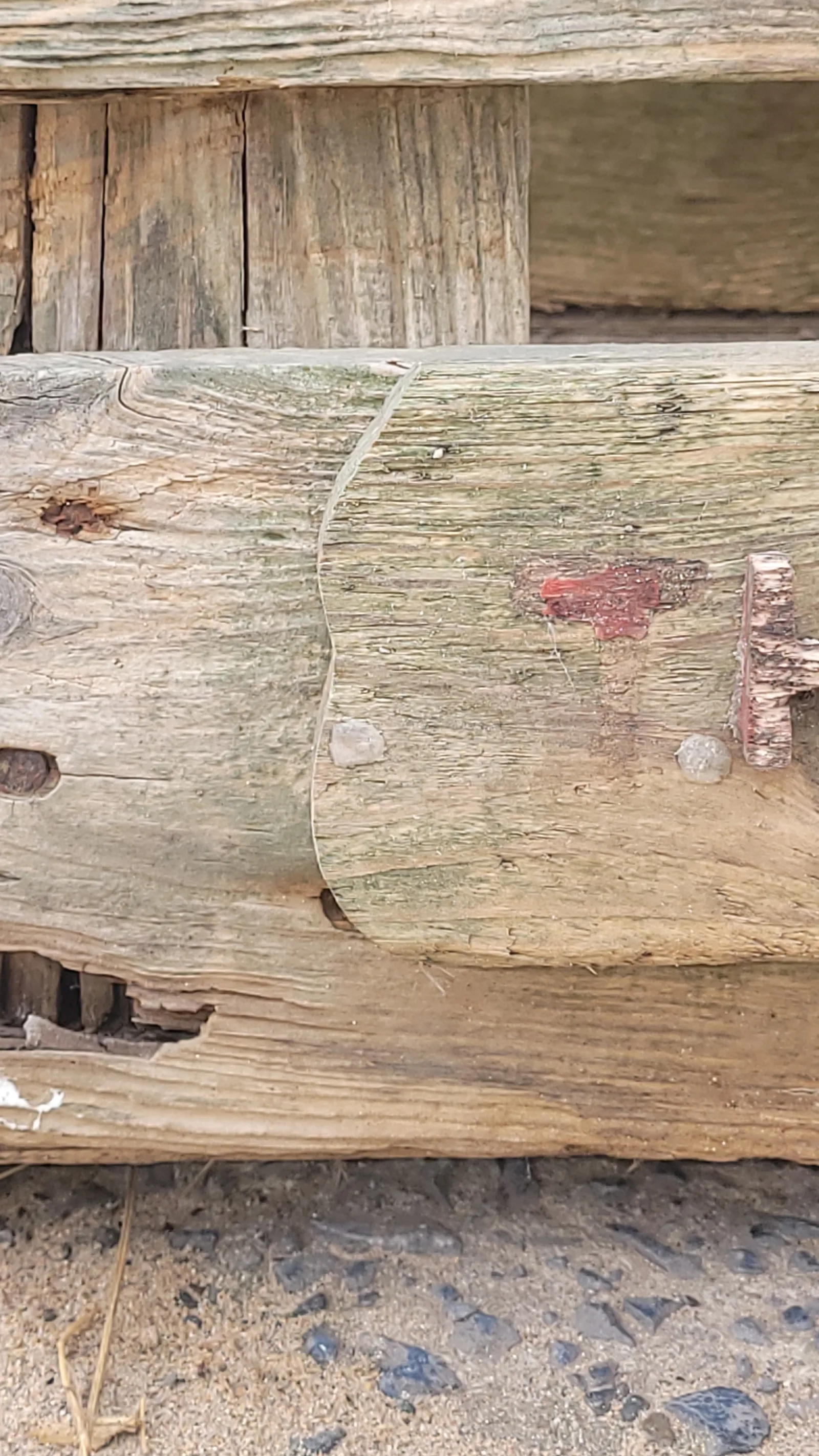 Wood60 texture