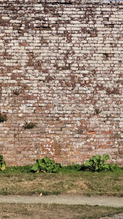 Brick6 texture
