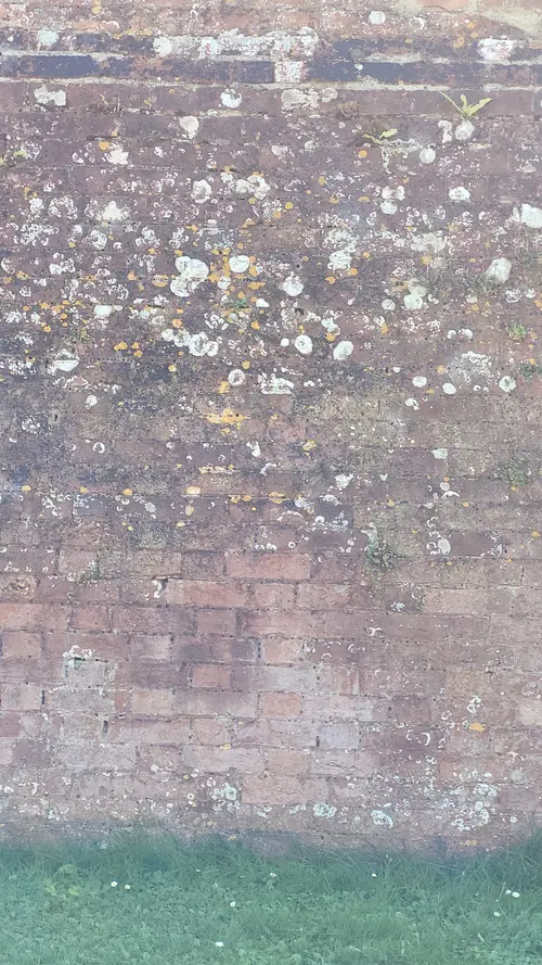 Brick7 texture