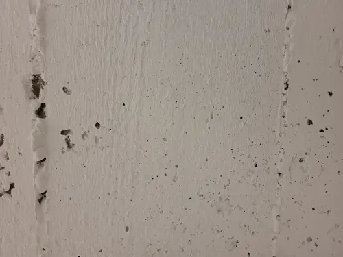 Concrete13 texture