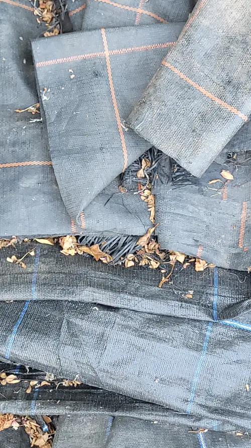 Fabric13 texture