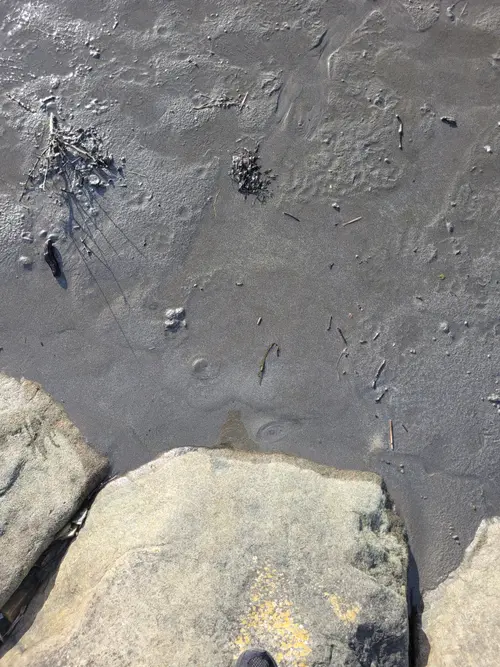 Ground2 texture