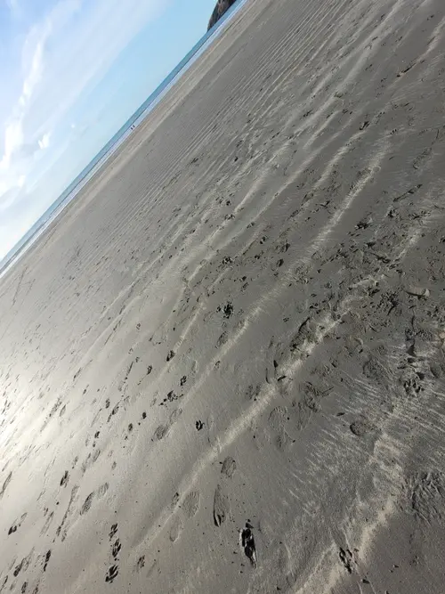 Ground9 texture