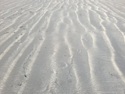 Ground12 texture
