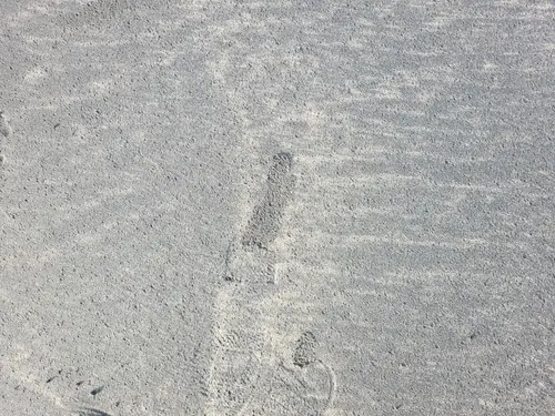 Ground13 texture