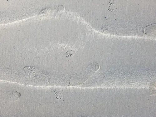 Ground15 texture