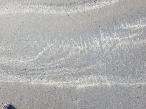 Ground16 texture