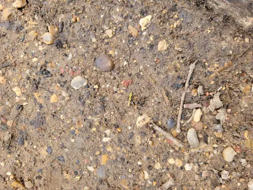 Ground19 texture