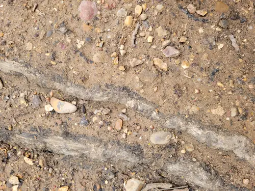 Ground20 texture