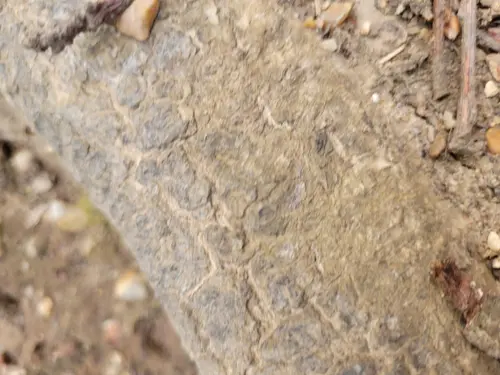 Ground25 texture