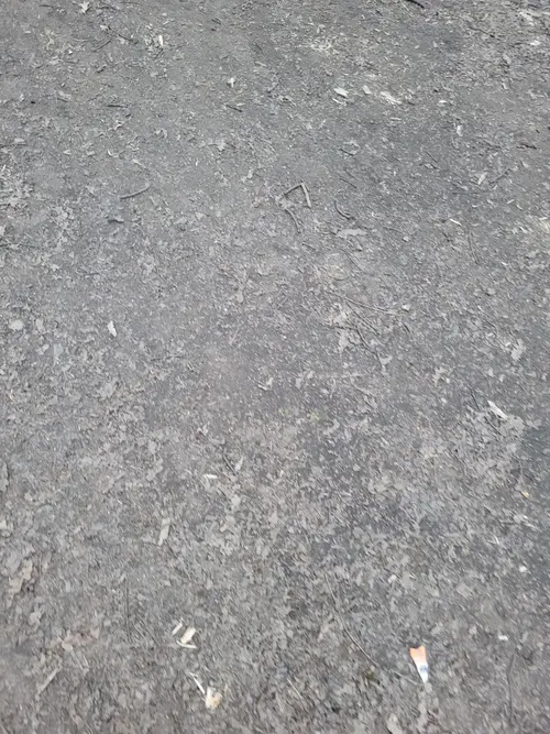 Ground27 texture