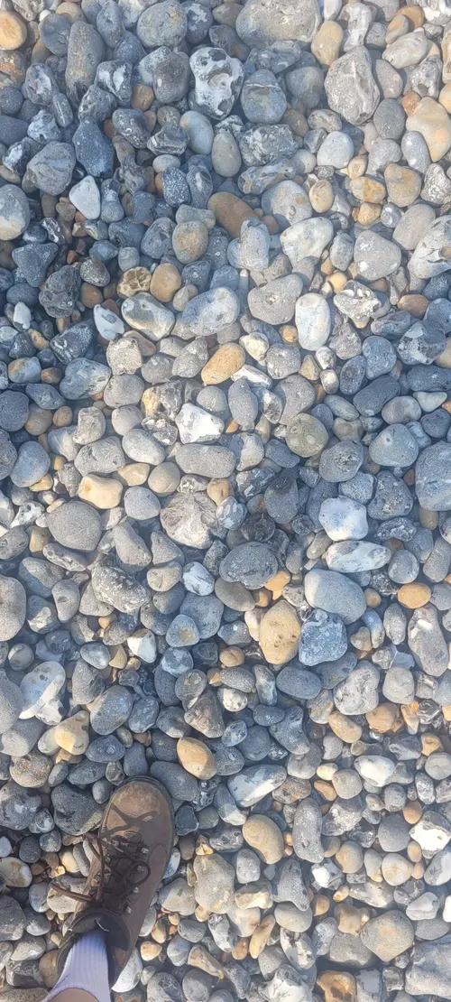 Ground28 texture