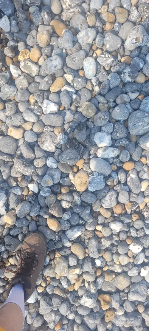 Ground29 texture