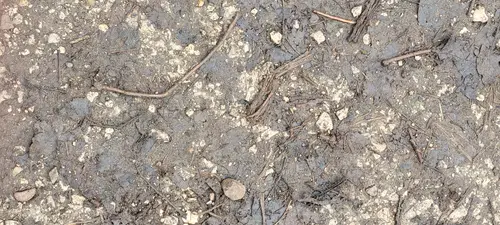 Ground30 texture