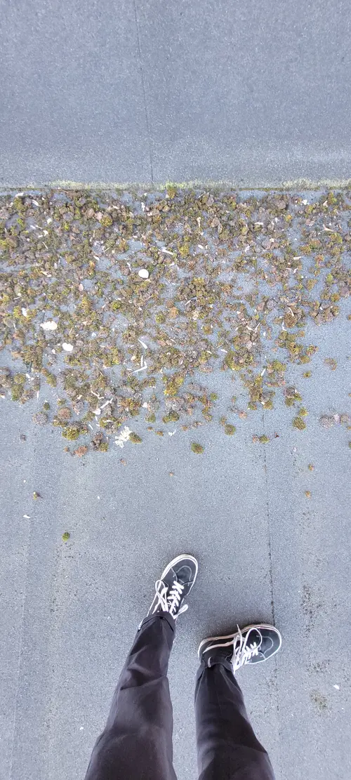 Ground38 texture