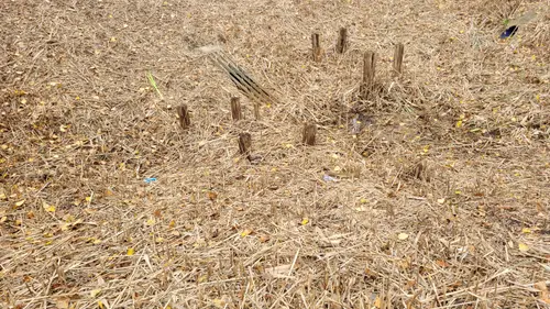 Ground40 texture