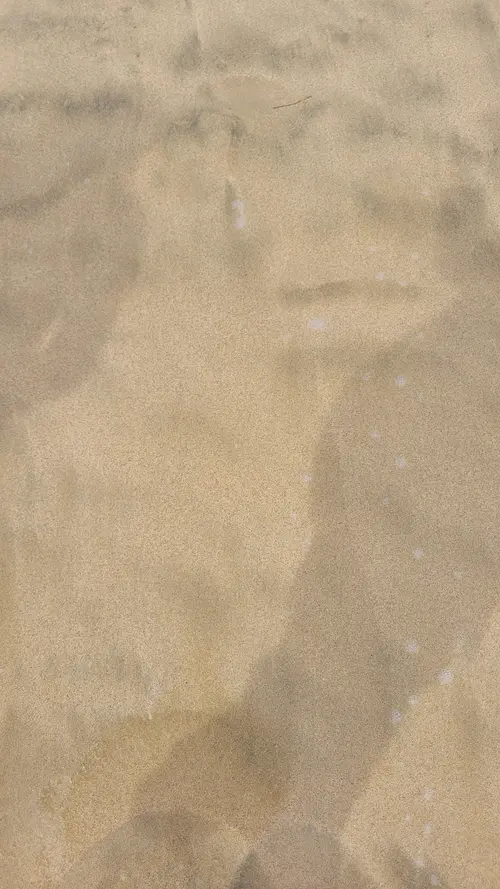 Ground51 texture
