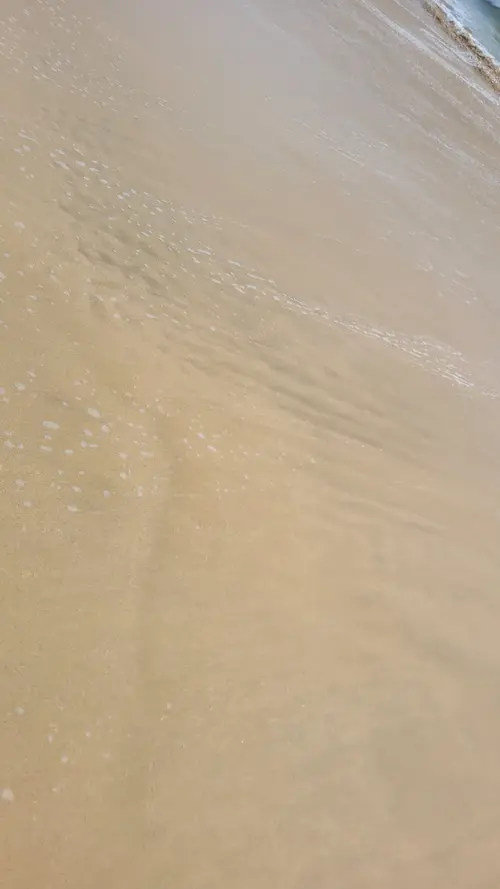 Ground55 texture