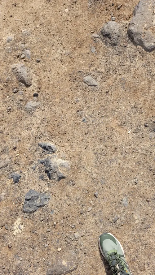Ground61 texture