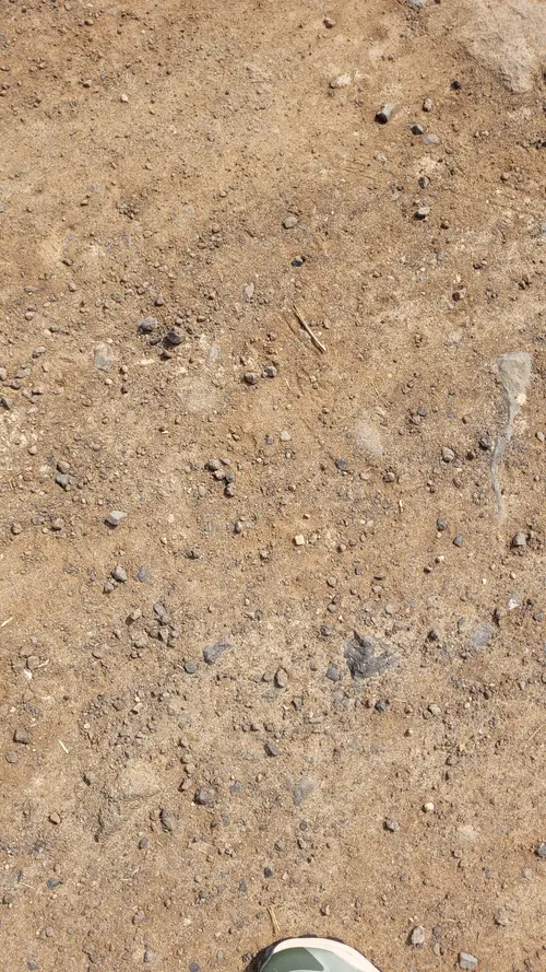 Ground62 texture