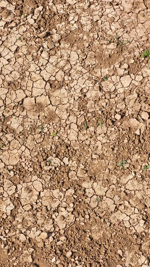 Ground64 texture