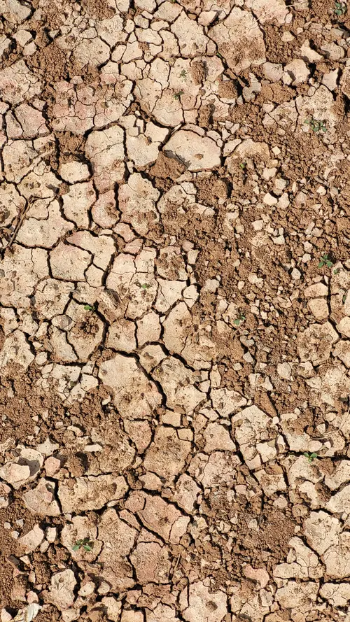 Ground65 texture