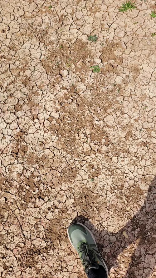 Ground66 texture