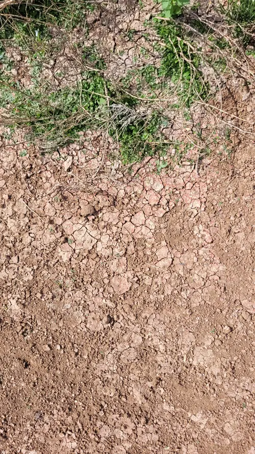 Ground67 texture