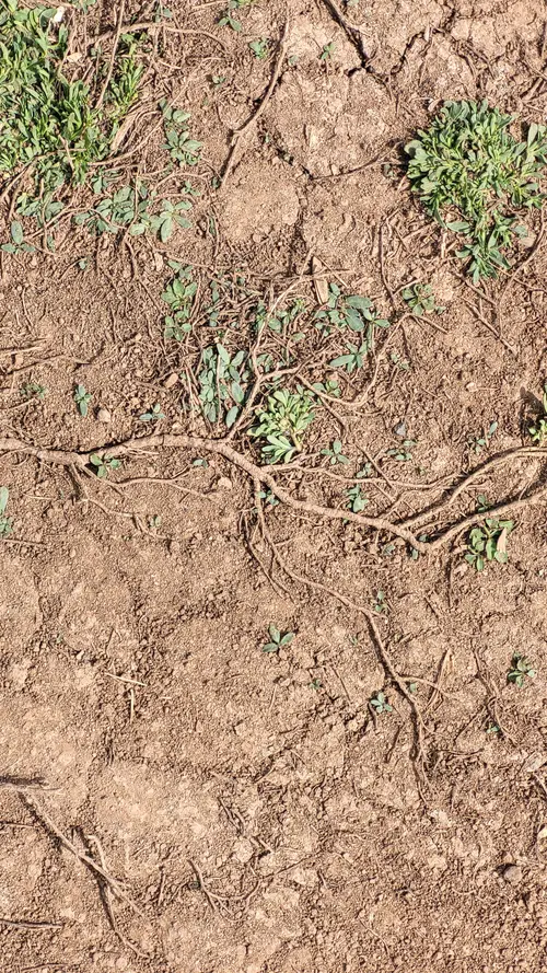 Ground69 texture